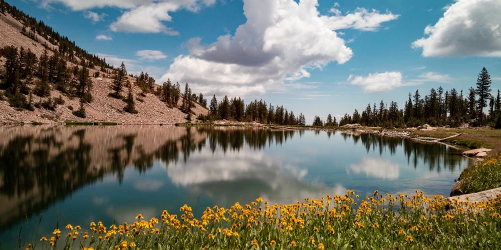 Great Basin National Park